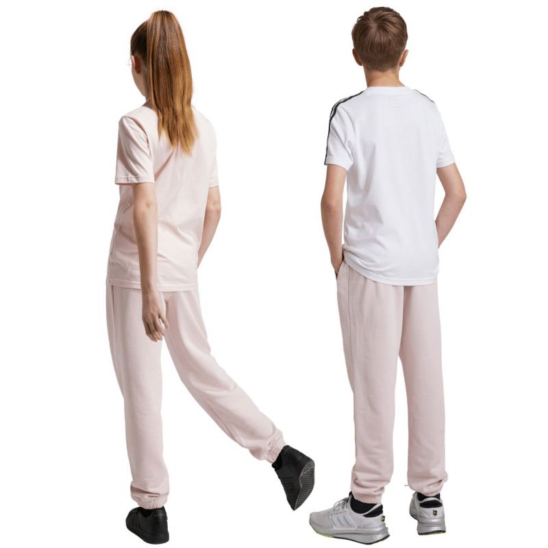 adidas Essentials Small Logo Feel Cozy Fleece Jr JF8746 pants Clothing/Lifestyle/Trousers, shorts Adidas