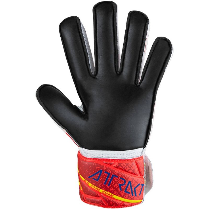Reusch Attrakt Solid 54/70/016/8903 gloves Accessories/Gloves Your Sports Performance