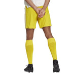 Adidas Squadra 21 Short M GN5772 Clothing/Football Adidas
