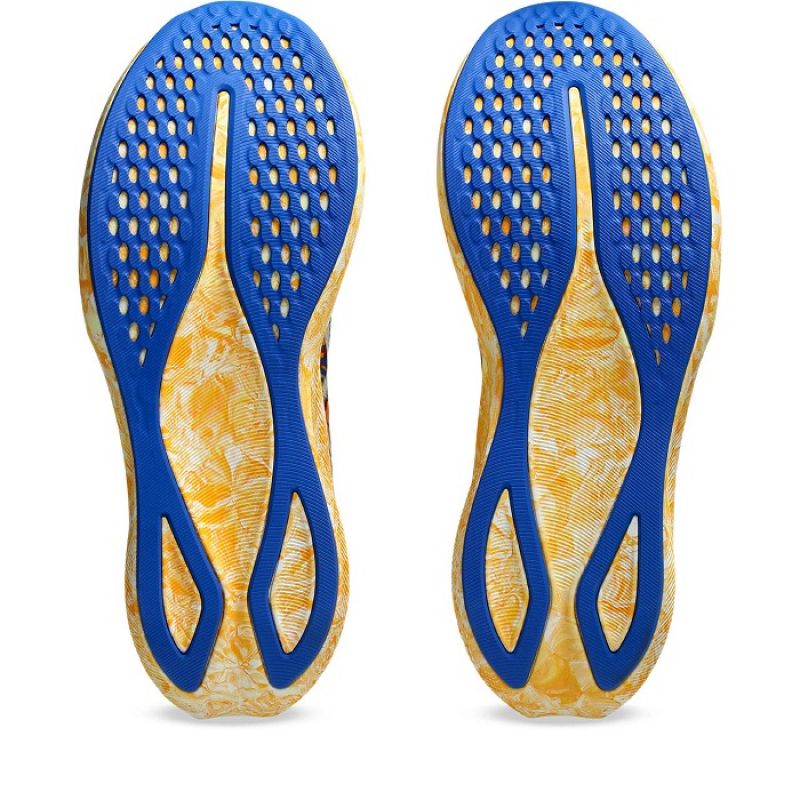 Asics Noosa Tri 16 Shoes Footwear/Running/Men/Road Your Sports Performance