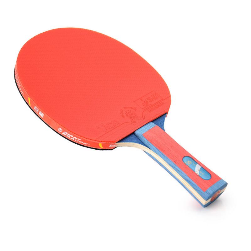 Giant Dragon 4★ N804 Table Tennis Racket Accessories/Rackets and accessories Your Sports Performance