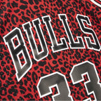 Mitchell & Ness NBA Chicago Bulls Scottie Pippen Jersey Swingman Mitchell & Ness