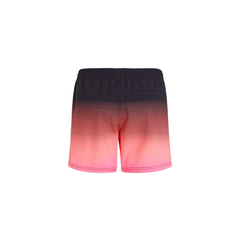 O'Neill Jack Cali Gradient 15'' Swim Shorts M 92800613579 Clothing/Swimming/ONeill Your Sports Performance