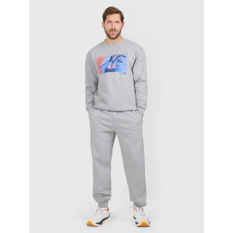 Men's jogger sweatpants 4F 4FRAW25TTROM1832-27M 4f