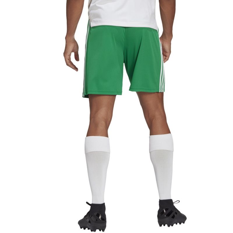 Adidas Squadra 21 Short M GN5769 Clothing/Football Adidas