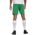 Adidas Squadra 21 Short M GN5769 Clothing/Football Adidas