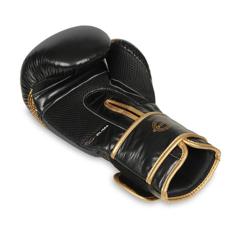 10oz Boxing Gloves - Aureos - Valor Series rękawice treningowe Your Sports Performance
