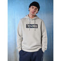 Men's regular hooded sweatshirt 4F 4FRSS26TSWSM2801-27S 4f