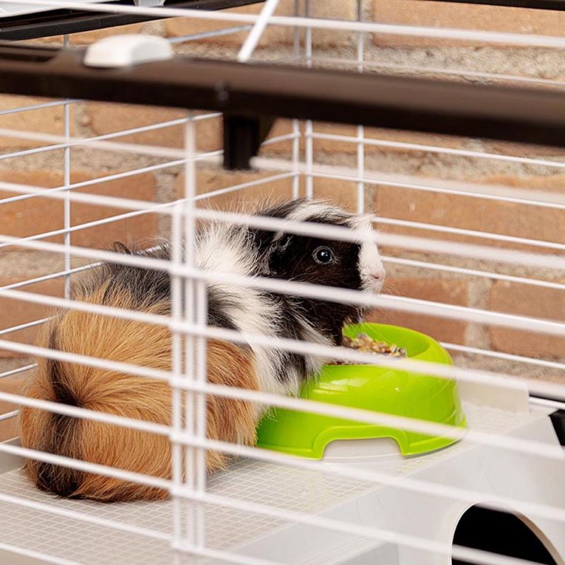 CASITA 80 (x1) - cage for guinea pigs and rabbits Dla małych zwierząt/Klatki Your Sports Performance