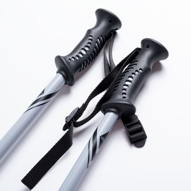 ALPINE SKI II poles In preparation Your Sports Performance