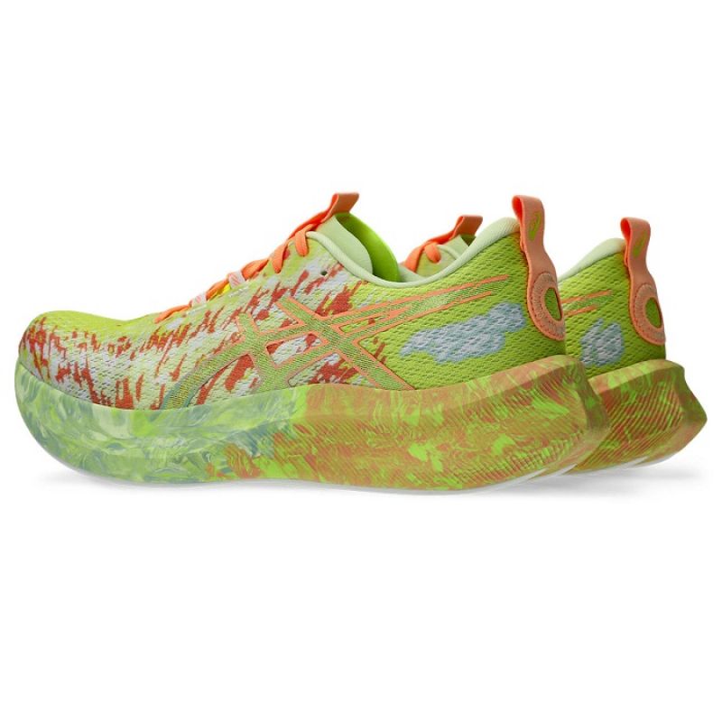 Asics Noosa Tri 16 M shoes 1011B872750 Footwear/Running/Men Asics