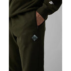 Men's jogger sweatpants 4F 4FRAW26TTROM2092-43S