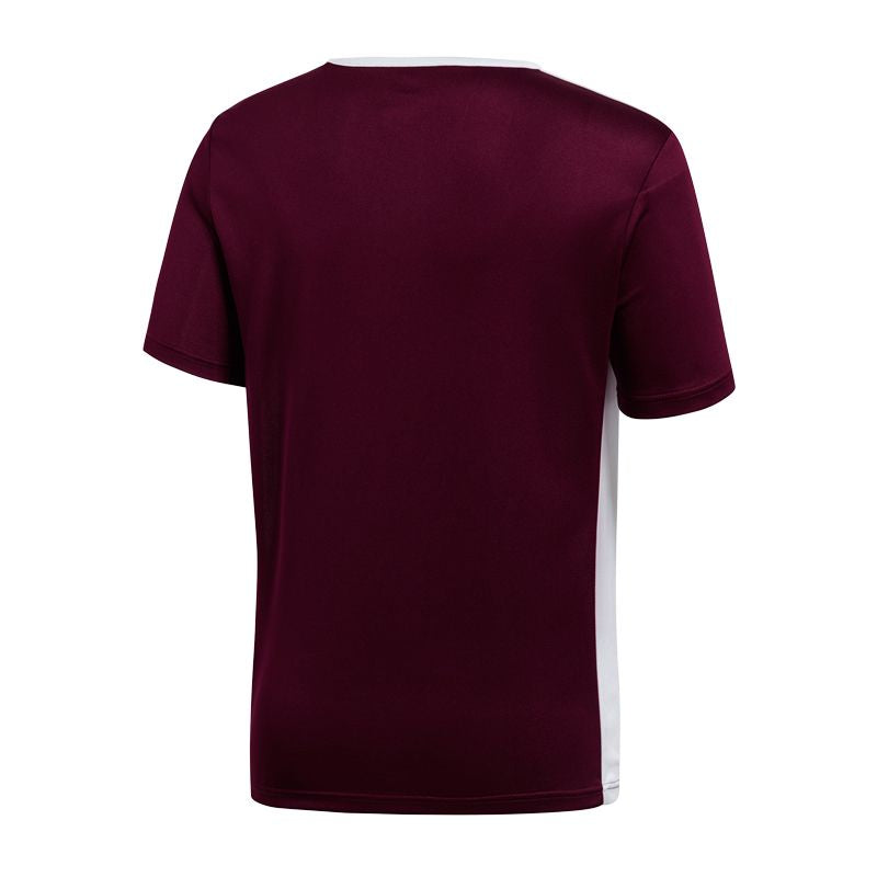 adidas Entrada 18 Jr T-shirt CE9564 adidas