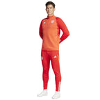 adidas FC Bayern Training Panty M IQ0605 Clothing/Football Adidas