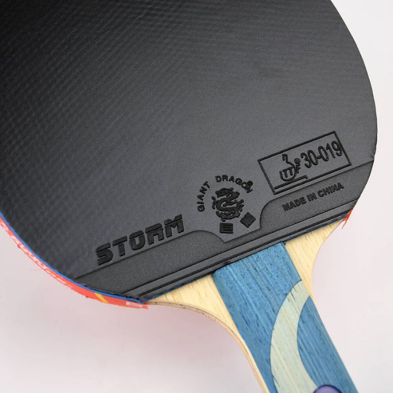 Giant Dragon 8★ N8082 Table Tennis Racket Accessories/Rackets and accessories Your Sports Performance