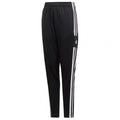 Adidas Squadra 21 Training Youth Jr GK9553 pants Clothing/Football Adidas