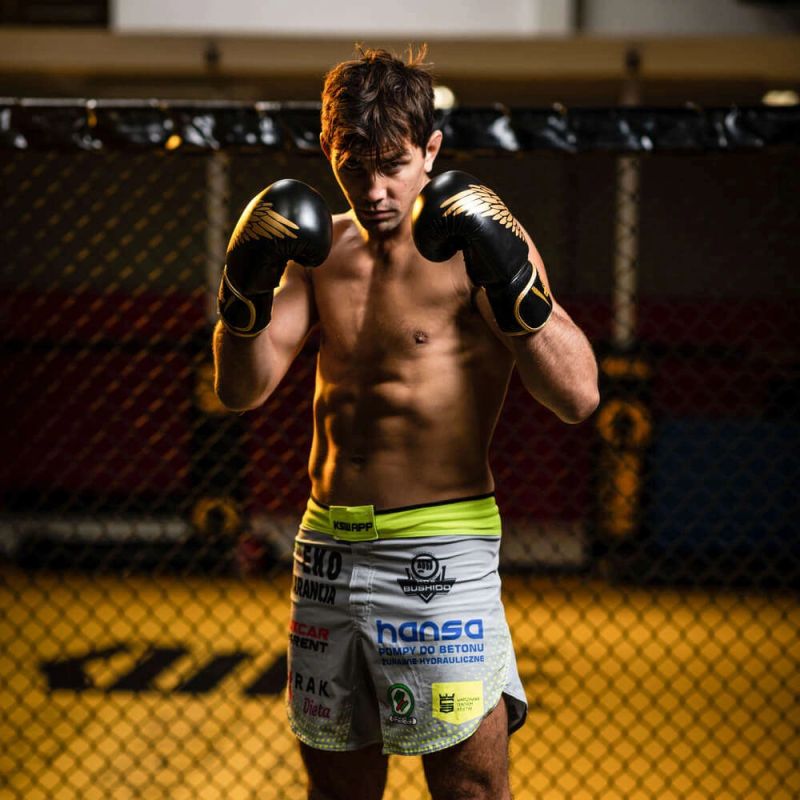 8oz Boxing Gloves - Hawk - Origin Series rękawice treningowe Your Sports Performance