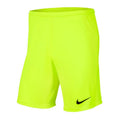 Nike Park III Knit Jr BV6865-702 Shorts Nike