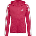 adidas Designed 2 Move 3-Stripes Hoodie Full Zip Jr HM4485 Clothing/Lifestyle Adidas