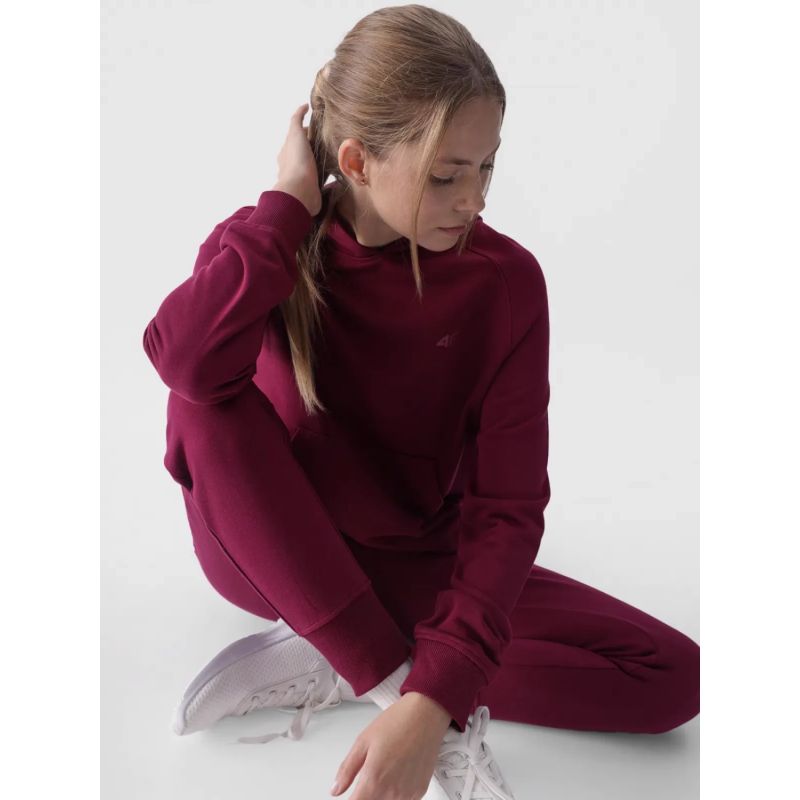Sweatshirt 4F W 4FWMM00TSWSF1468-51S Clothing/Lifestyle/4F 4F