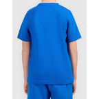 Boy's cotton T-shirt 4F 4FJWAW26TTSHM3507-36S