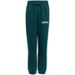 Adidas Essentials green kids tracksuit JN2427 In preparation Your Sports Performance