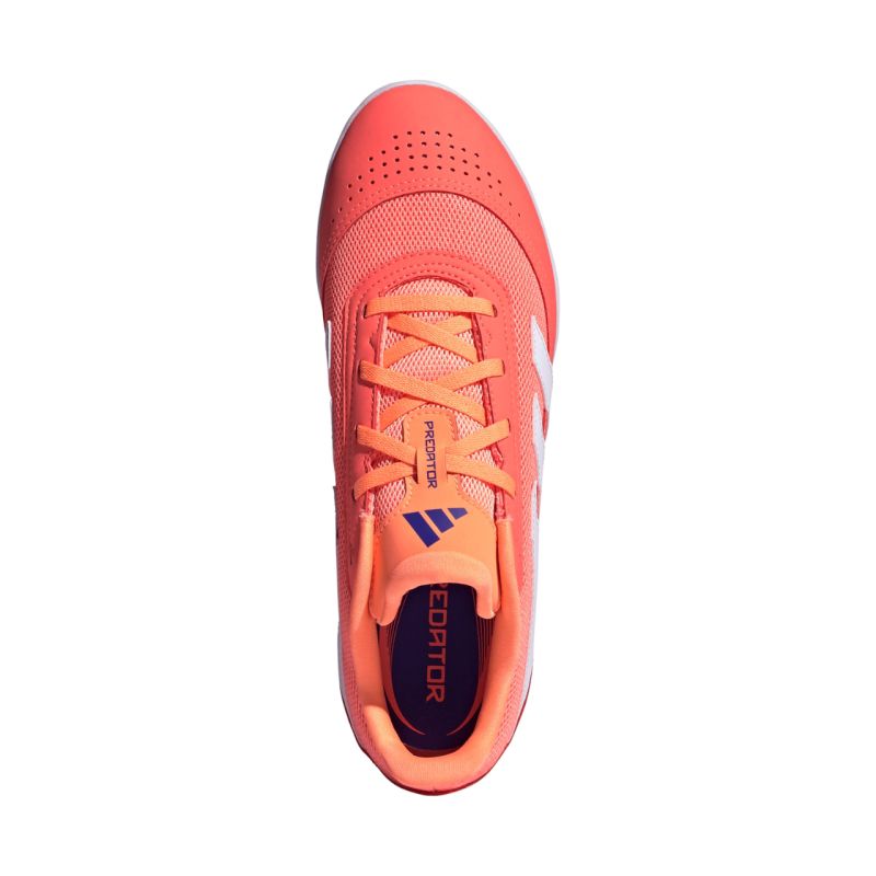 adidas Predator Club IN Sala JH8856 football boots In preparation Adidas
