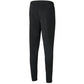 Pants Puma teamRISE Poly Training M 657390 03 Clothing/Training Puma