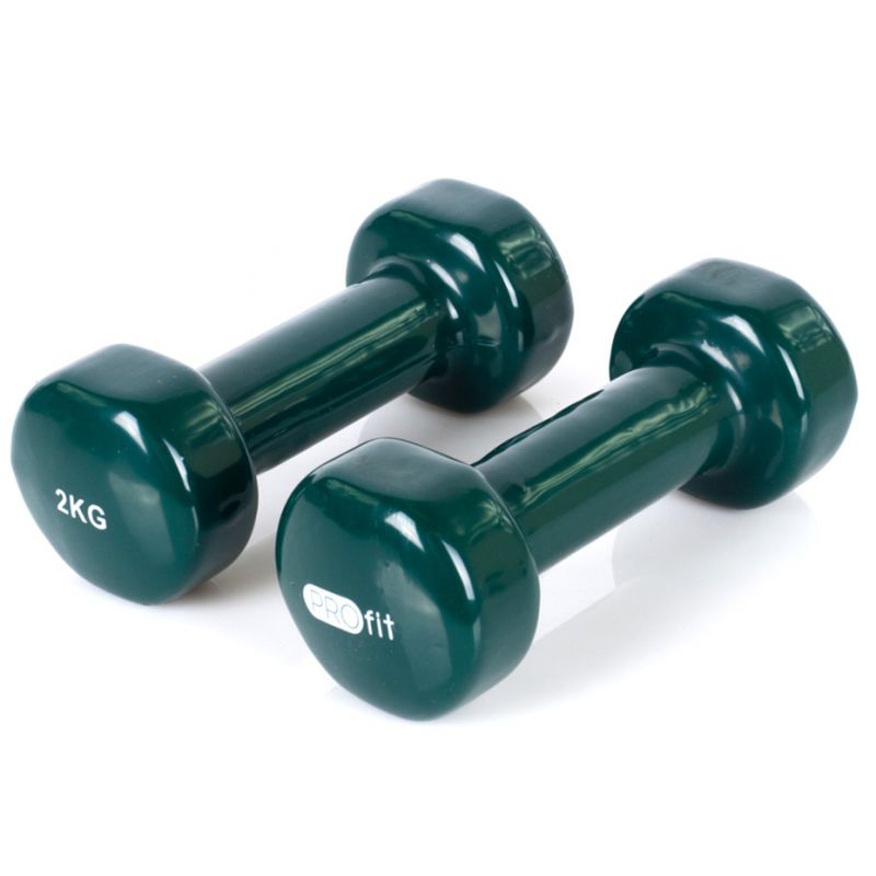 Vinyl dumbbell PROfit 0.5kg DK 4102