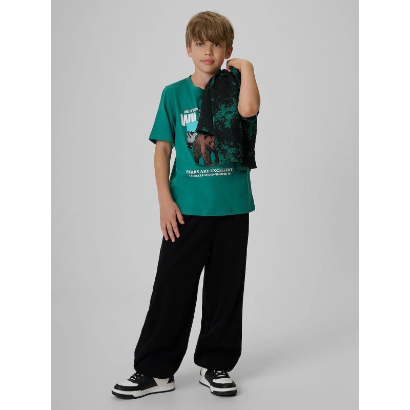 Boy's regular printed T-shirt 4F 4FJKAW26TTSHM4456-46S