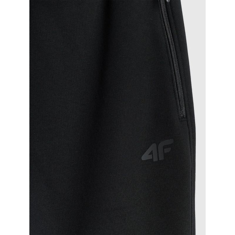 Men's jogger sweatpants 4F 4FRMM00TTROM2020-20S 4f