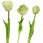 WHITE TULIP 38CM LIFE-LIKE SPRING DECORATION Home and Garden/Equipment Your Sports Performance