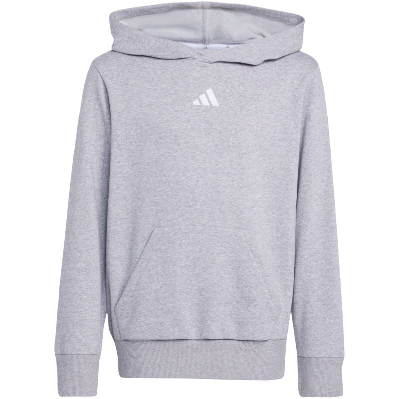 adidas Essentials Hoodie for kids gray JV9995 To be categorized Your Sports Performance
