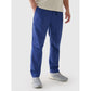 Men's casual trousers 4F 4FRAW24TTROM1349-31S *Kategoria tymczasowa Your Sports Performance