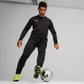 Puma Team Goal Training Pants M 658639 03 Clothing/Training Puma