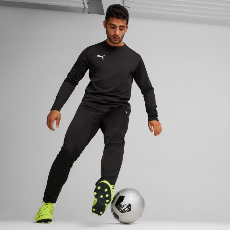Puma Team Goal Training Pants M 658639 03 Clothing/Training Puma