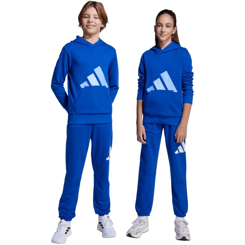 adidas Essentials 280 Blue Kids' Pants JV9916 In preparation Adidas