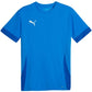 Puma teamGoal Matchday Jersey M 705747 02 Clothing/Football Your Sports Performance