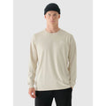 Men's oversized longsleeve with print 4F 4FRAW24TLONM502-12S 4f