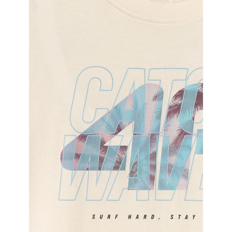 Men's regular printed T-shirt 4F 4FRSS26TTSHM4295-11S