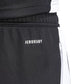 Adidas Tiro 24 Training M P1952 pants Clothing/Football Adidas