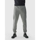 Men's quick-drying training pants 4F 4FWAW24TFTRM681-25M 4f