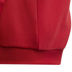adidas Tiro 23 Competition Hoodie for kids red HI3052 In preparation Adidas