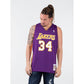 Mitchell & Ness Los Angeles Lakers NBA Swingman Jersey Lakers 99-00 Shaquille O`Neal SMJYGS18447-LALPURP99SON Clothing/Lifestyle/T-shirts/Mitchell & Ness Your Sports Performance