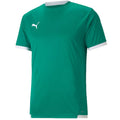 Puma teamLiga Jersey M 704917 05 Clothing/Football Puma