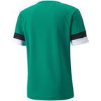 Puma teamRise Jersey M 704932 05 Clothing/Training Puma
