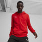 Puma Team Goal Casuals Hooded M 658595 01 sweatshirt Clothing/Football Puma