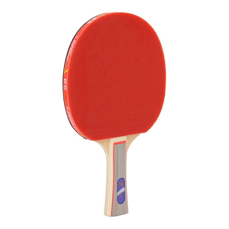 Giant Dragon 3★ N8031 Table Tennis Racket Accessories/Rackets and accessories Your Sports Performance