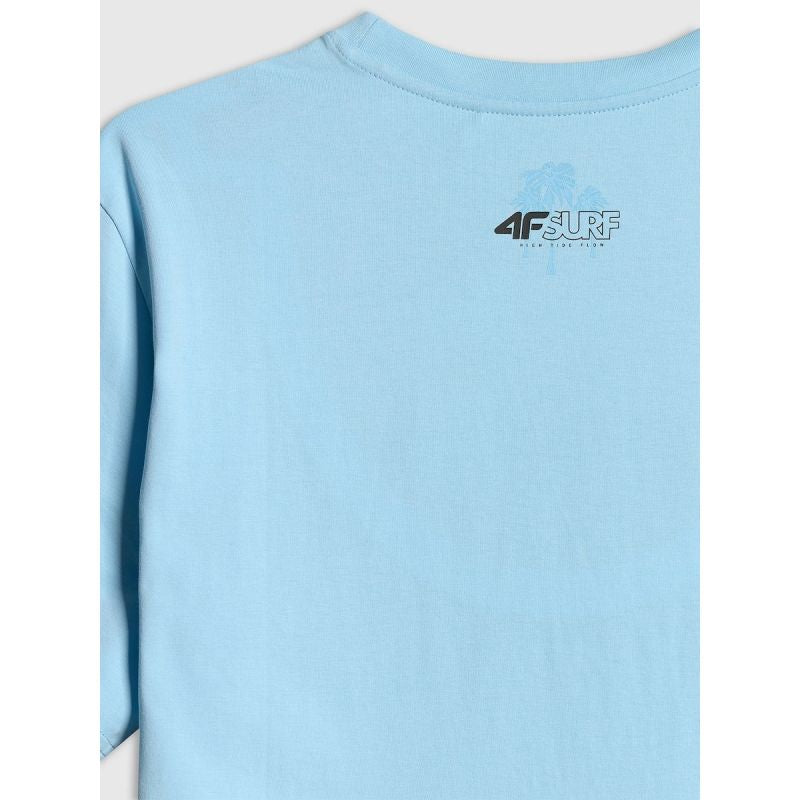 Men's regular printed T-shirt 4F 4FRSS26TTSHM4291-34S