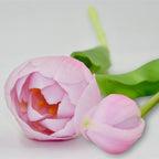 BOUQUET OF 5 PINK PEONY TULIPS 39 CM LIFE-LIKE SPRING DECORATION Home and Garden/Equipment Your Sports Performance